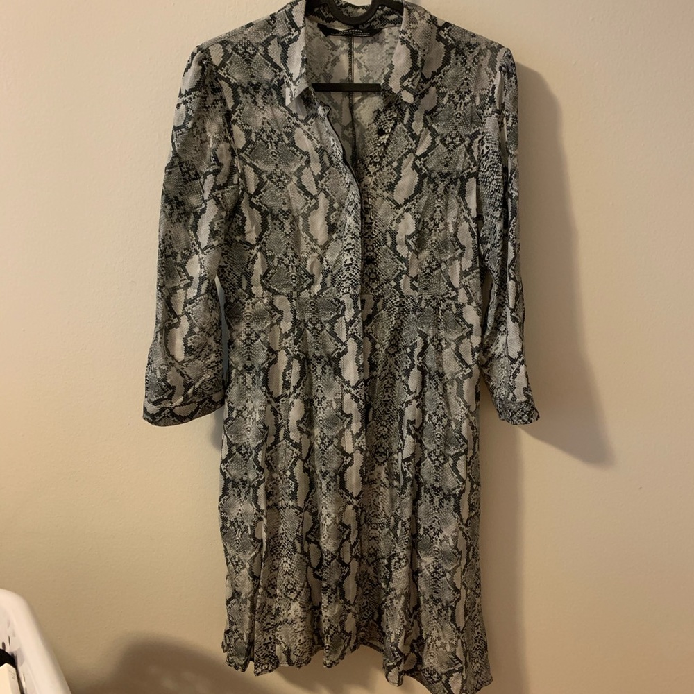 Zara Snakeskin Shirtdress